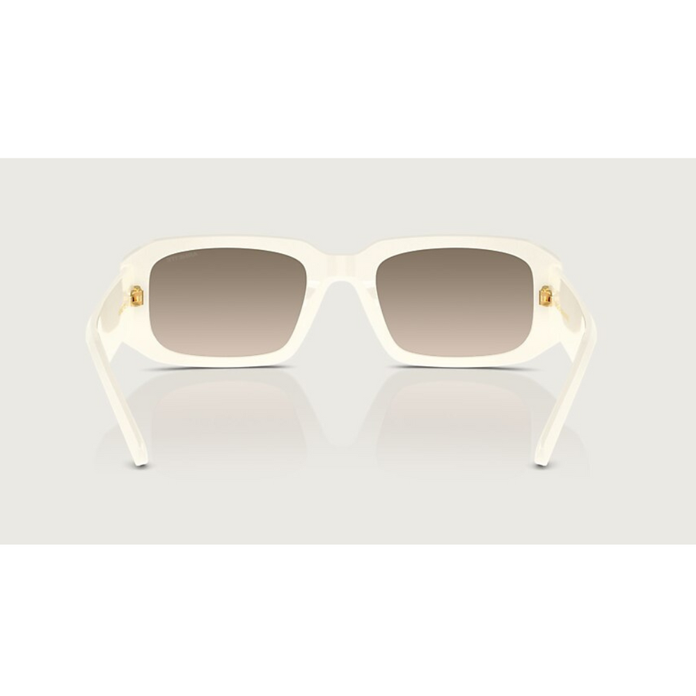 
                      
                        ARNETTE THKIDD IVORY
                      
                    